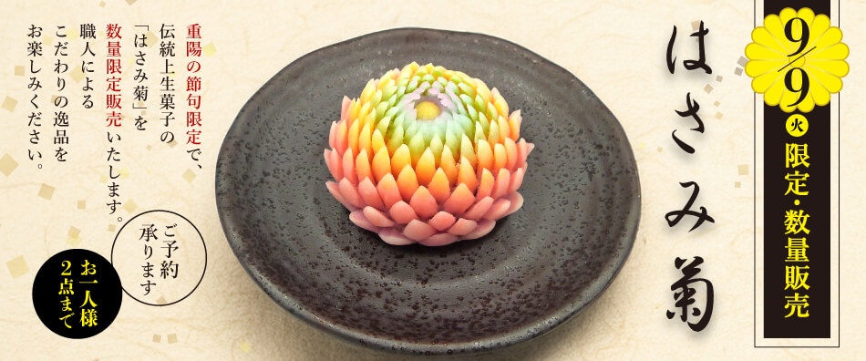はさみ菊